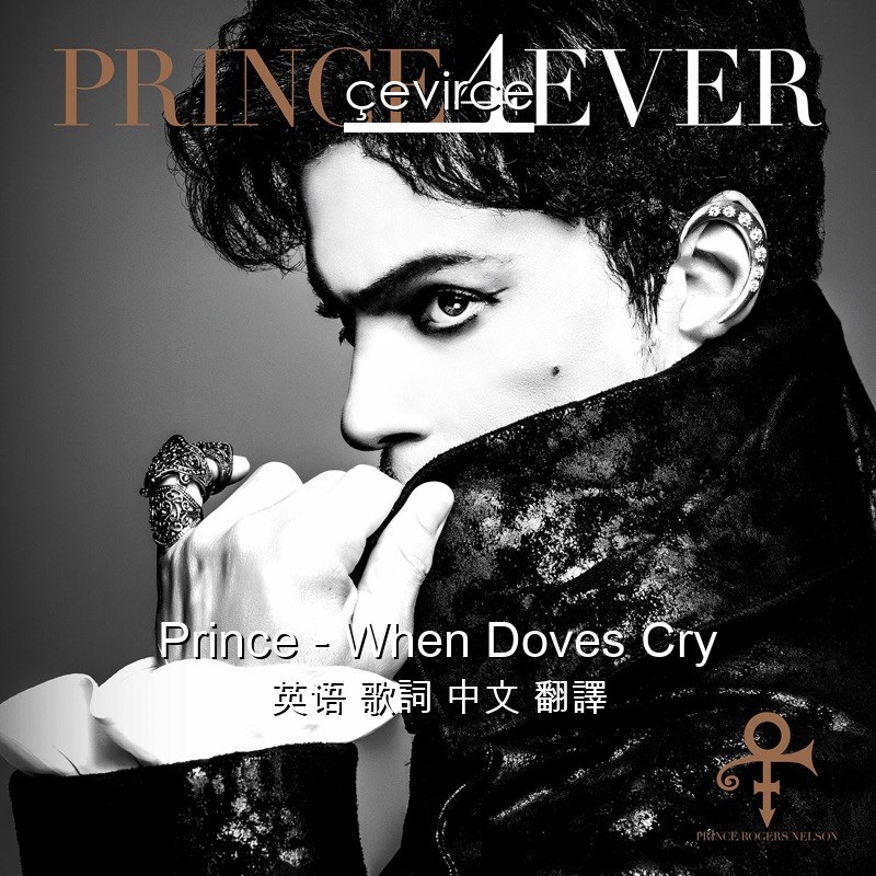 Prince – When Doves Cry 英语 歌詞 中文 翻譯