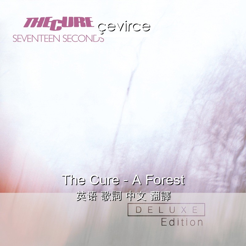 The Cure – A Forest 英语 歌詞 中文 翻譯