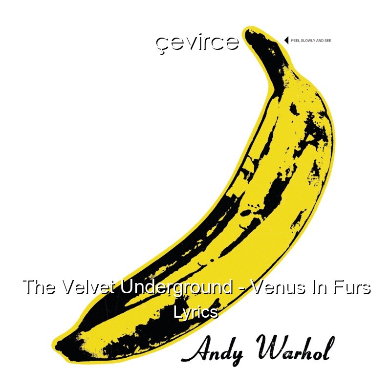 The Velvet Underground – Venus In Furs Lyrics