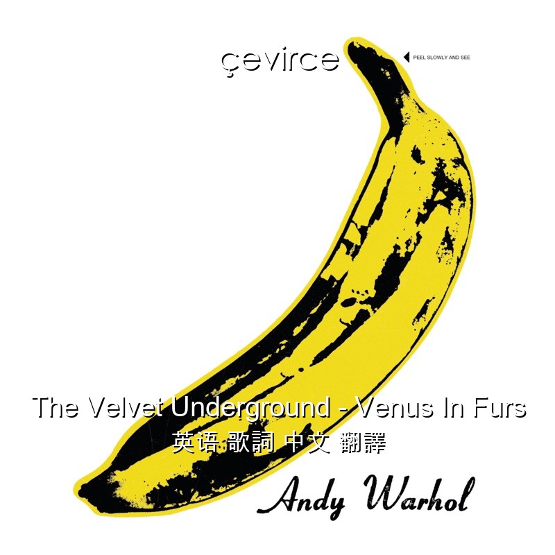 The Velvet Underground – Venus In Furs 英语 歌詞 中文 翻譯