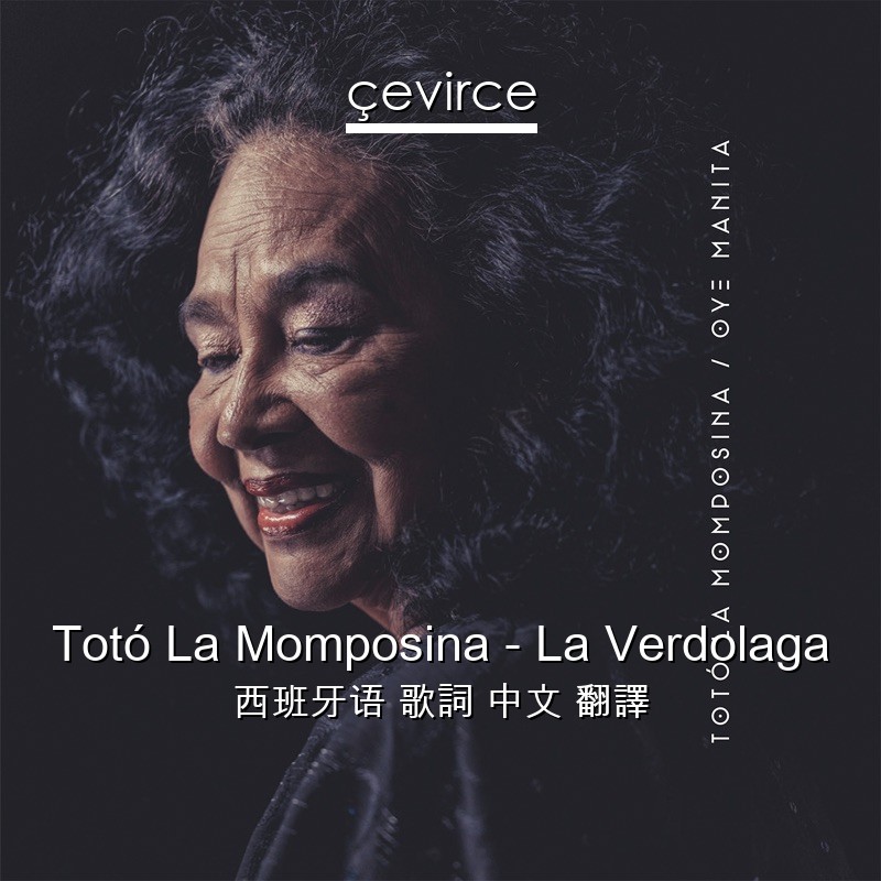 Toto La Momposina La Verdolaga 西班牙语歌詞中文翻譯 Cevirce Lyrics