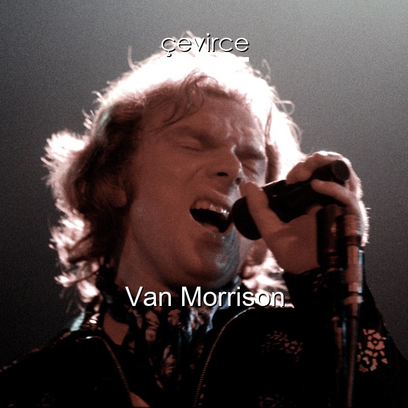 van morrison warm love