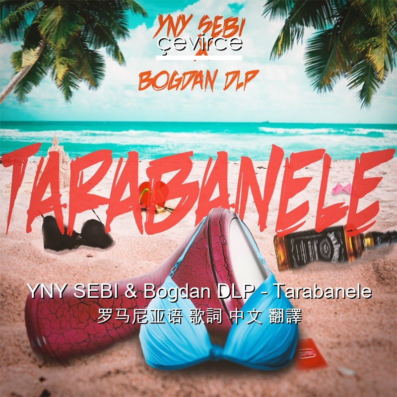 YNY SEBI & Bogdan DLP – Tarabanele 罗马尼亚语 歌詞 中文 翻譯