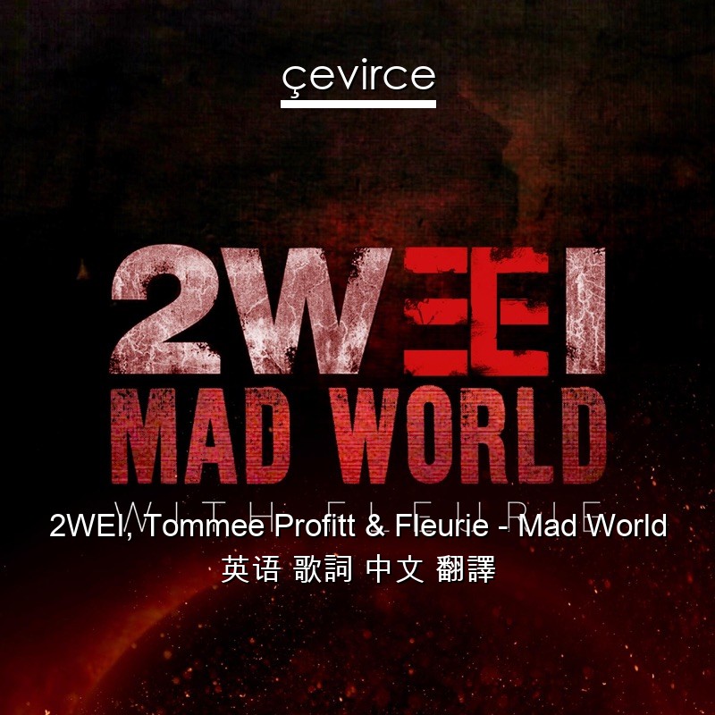 2WEI, Tommee Profitt & Fleurie – Mad World 英语 歌詞 中文 翻譯