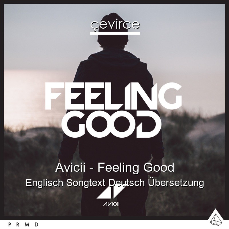 Avicii – Feeling Good Englisch Songtext Deutsch Übersetzung