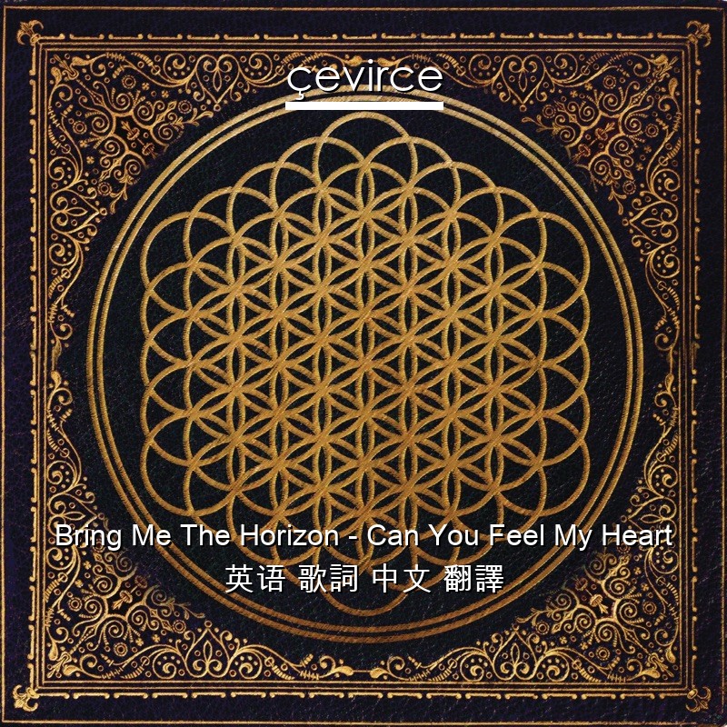 Bring Me The Horizon – Can You Feel My Heart 英语 歌詞 中文 翻譯