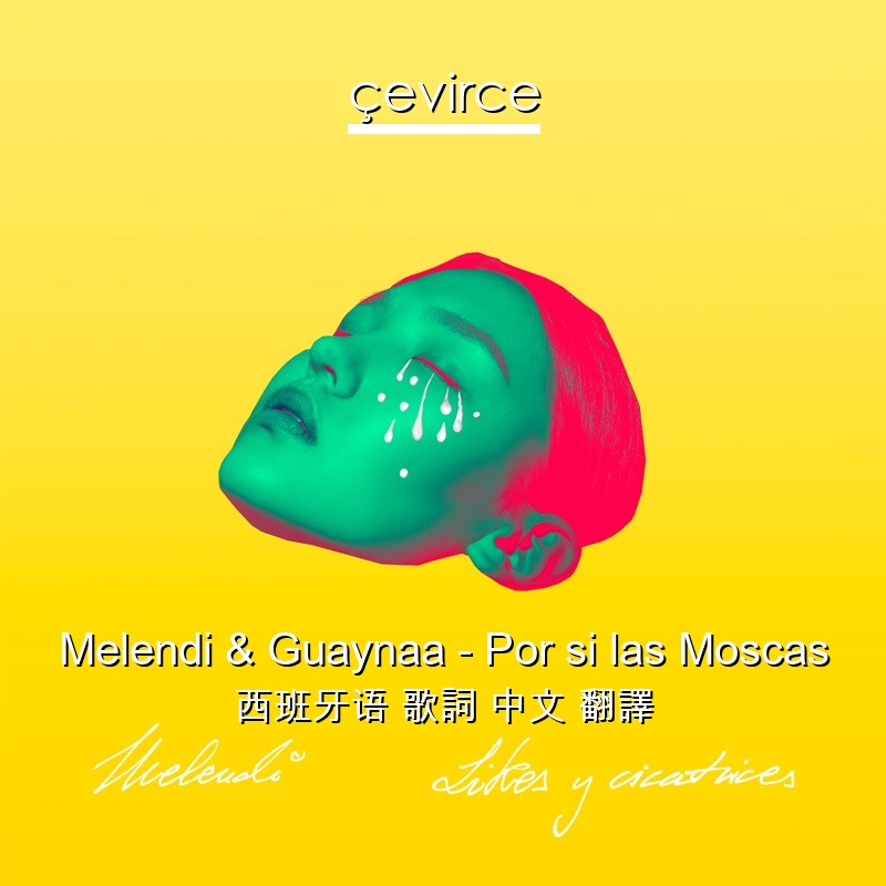 Melendi & Guaynaa – Por si las Moscas 西班牙语 歌詞 中文 翻譯