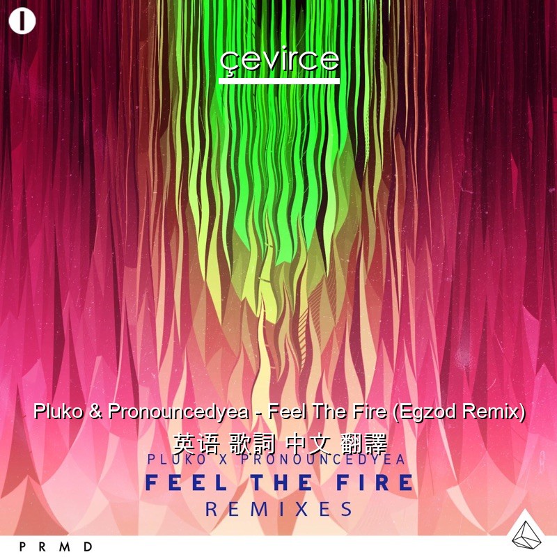 Pluko & Pronouncedyea – Feel The Fire (Egzod Remix) 英语 歌詞 中文 翻譯