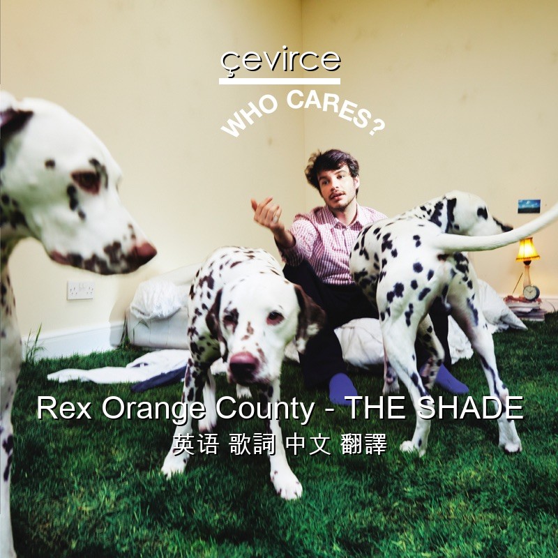 Rex Orange County – THE SHADE 英语 歌詞 中文 翻譯