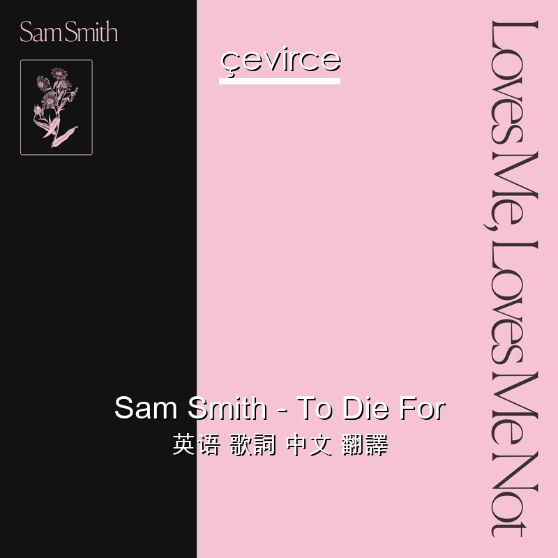 Sam Smith – To Die For 英语 歌詞 中文 翻譯