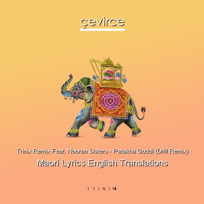 Trinix Remix Feat. Nooran Sisters – Patakha Guddi (Drill Remix) Maori Lyrics English Translations