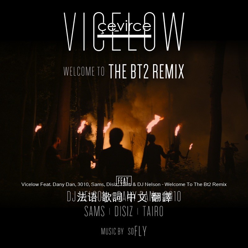 Vicelow Feat. Dany Dan, 3010, Sams, Disiz, Taïro & DJ Nelson – Welcome To The Bt2 Remix 法语 歌詞 中文 翻譯