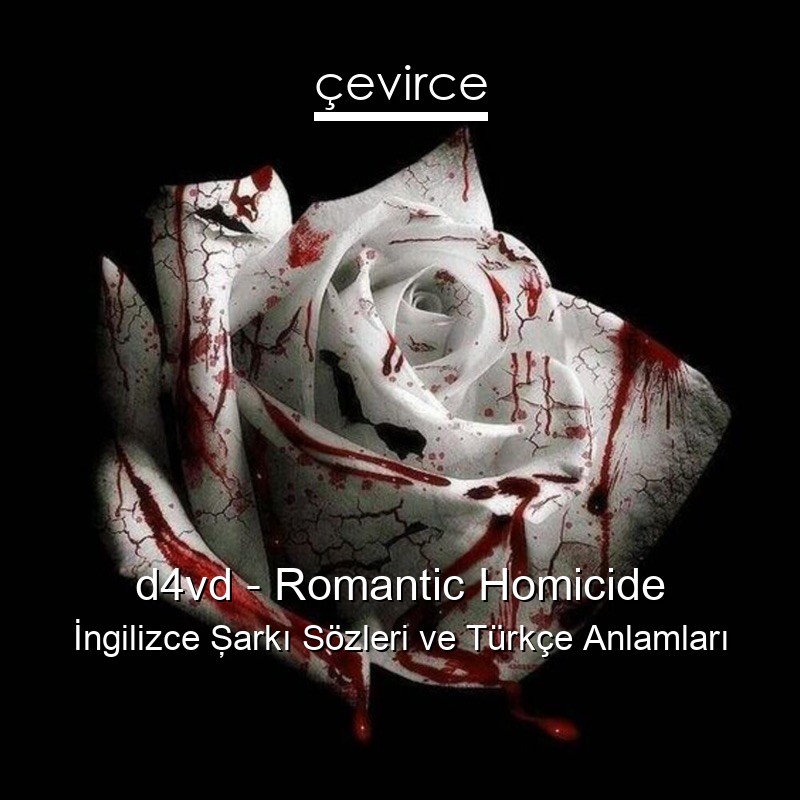 d4vd – Romantic Homicide İngilizce Şarkı Sözleri Türkçe Anlamları