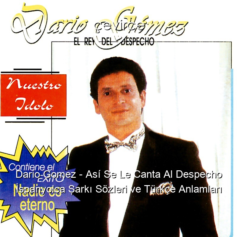 Dario Gomez – Así Se Le Canta Al Despecho İspanyolca Şarkı Sözleri Türkçe Anlamları