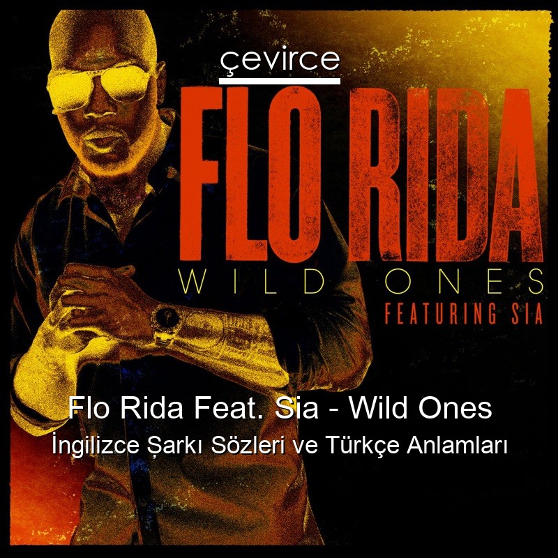 Flo Rida Feat. Sia – Wild Ones İngilizce Şarkı Sözleri Türkçe Anlamları