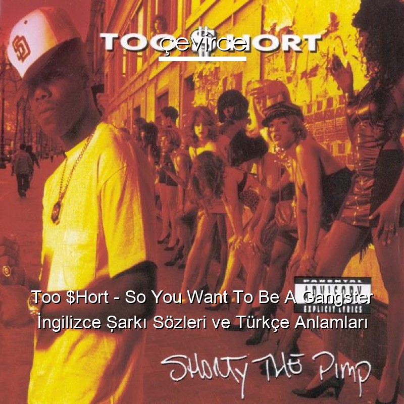 Too $Hort – So You Want To Be A Gangster İngilizce Şarkı Sözleri Türkçe Anlamları