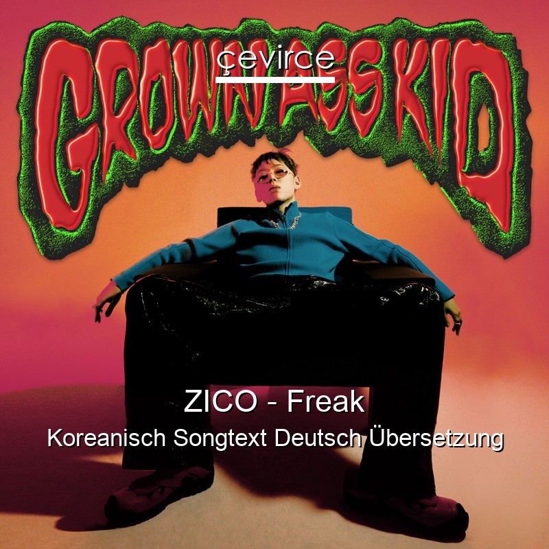 ZICO – Freak Koreanisch Songtext Deutsch Übersetzung