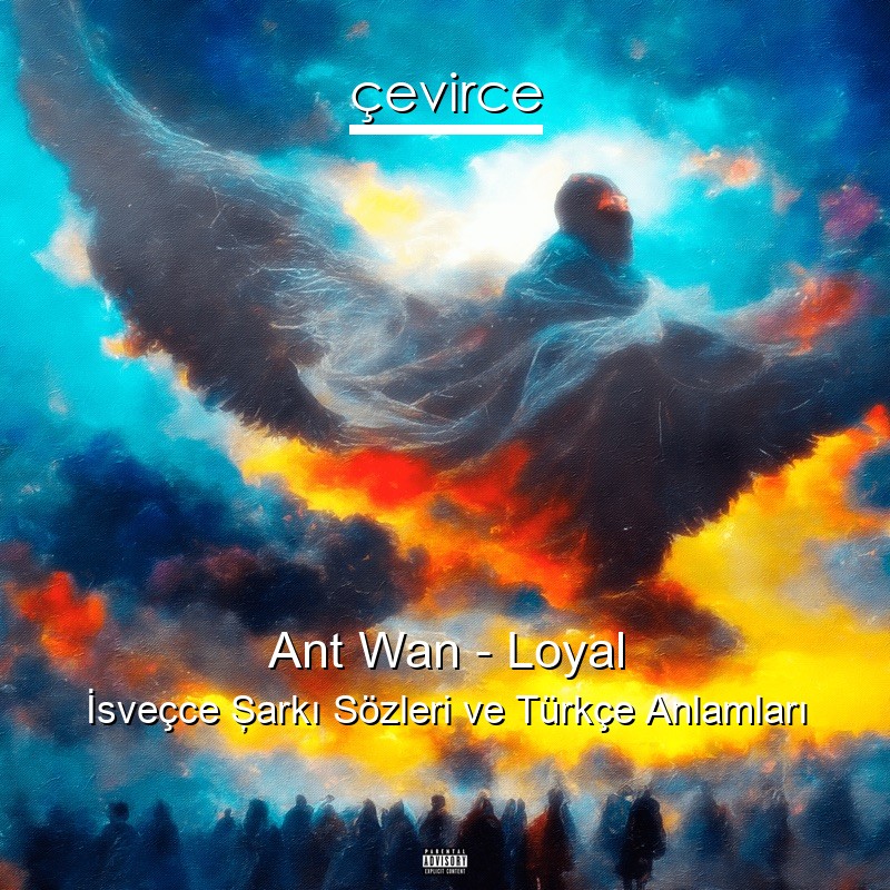 Ant Wan – Loyal İsveçce Şarkı Sözleri Türkçe Anlamları