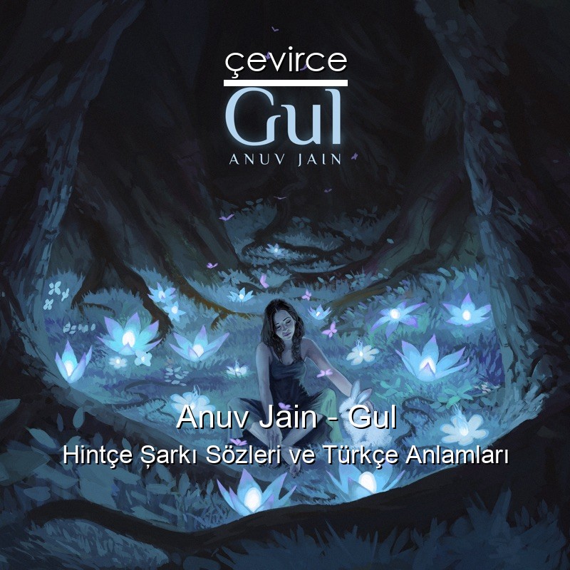 Anuv Jain – Gul Hintçe Şarkı Sözleri Türkçe Anlamları