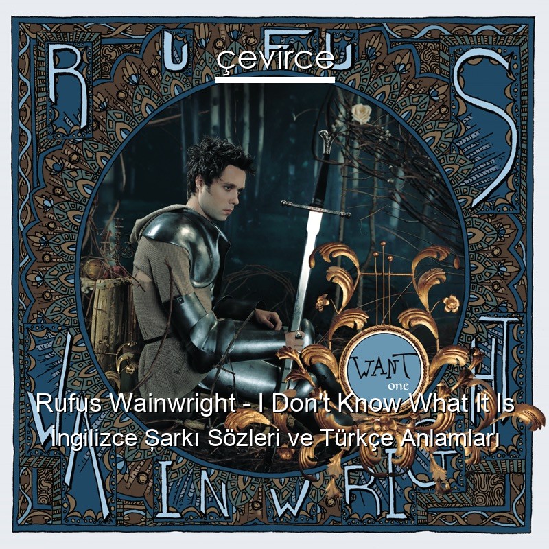 Rufus Wainwright – I Don’t Know What It Is İngilizce Şarkı Sözleri Türkçe Anlamları