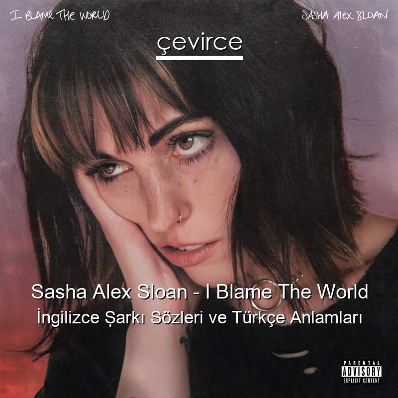 Sasha Alex Sloan – I Blame The World İngilizce Şarkı Sözleri Türkçe Anlamları