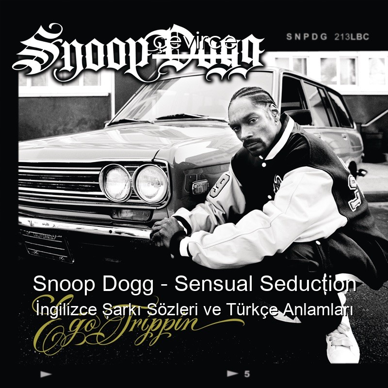 Snoop Dogg – Sensual Seduction İngilizce Şarkı Sözleri Türkçe Anlamları