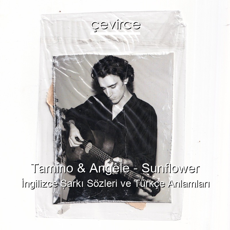 Tamino & Angèle – Sunflower İngilizce Şarkı Sözleri Türkçe Anlamları