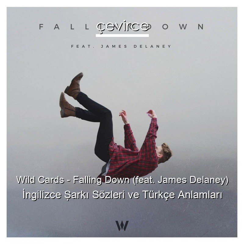 Wild Cards – Falling Down (feat. James Delaney) İngilizce Şarkı Sözleri Türkçe Anlamları