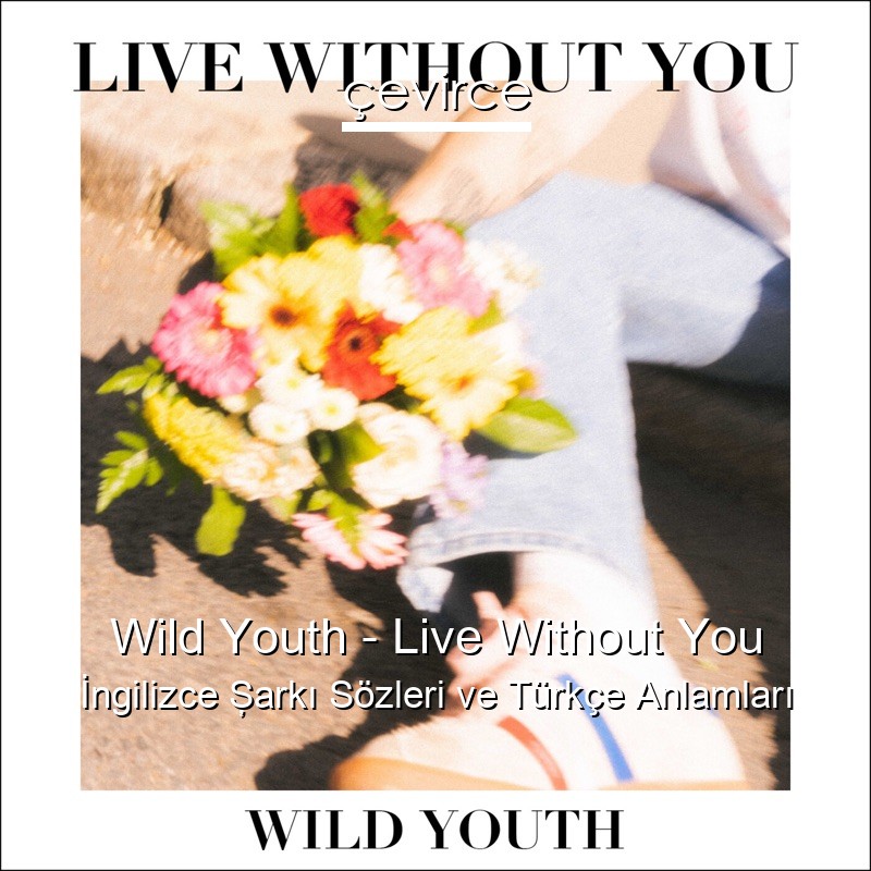 Wild Youth – Live Without You İngilizce Şarkı Sözleri Türkçe Anlamları