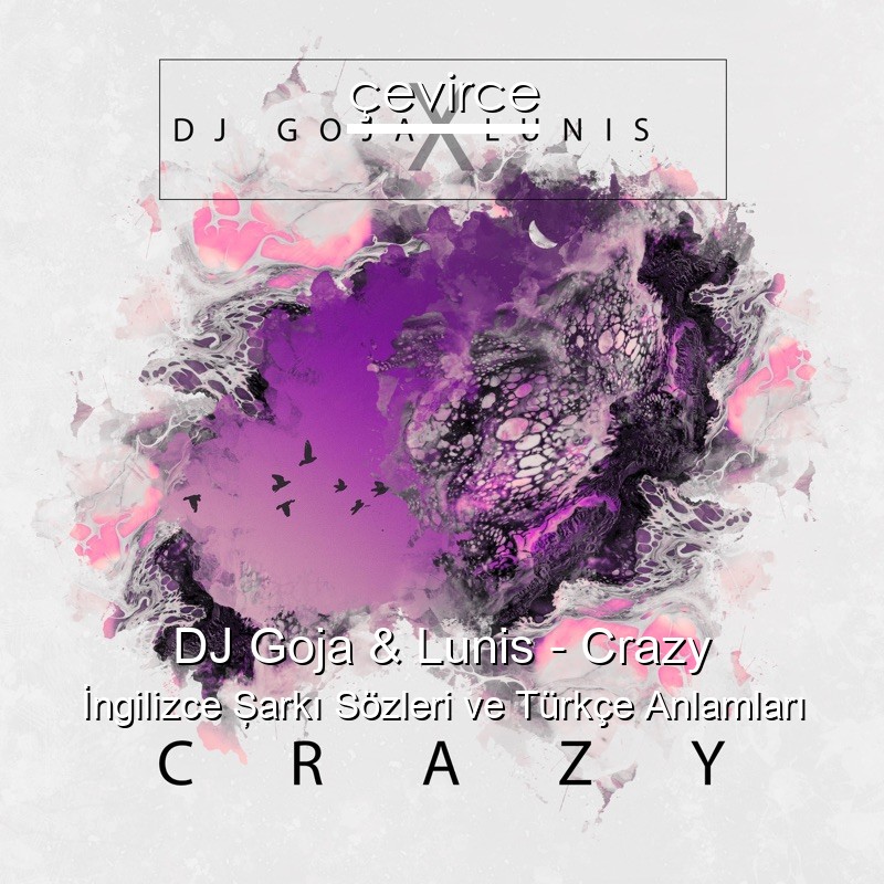 DJ Goja & Lunis – Crazy İngilizce Şarkı Sözleri Türkçe Anlamları