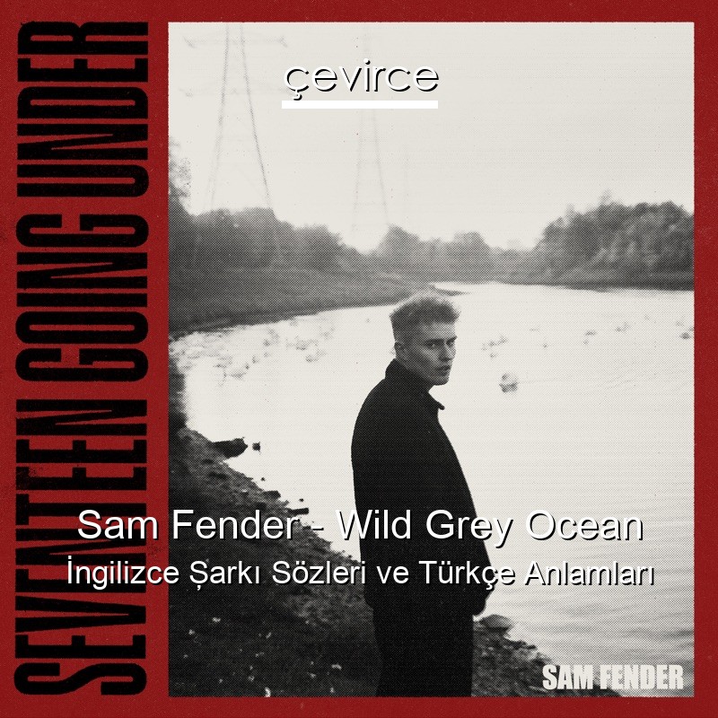 Sam Fender – Wild Grey Ocean İngilizce Şarkı Sözleri Türkçe Anlamları