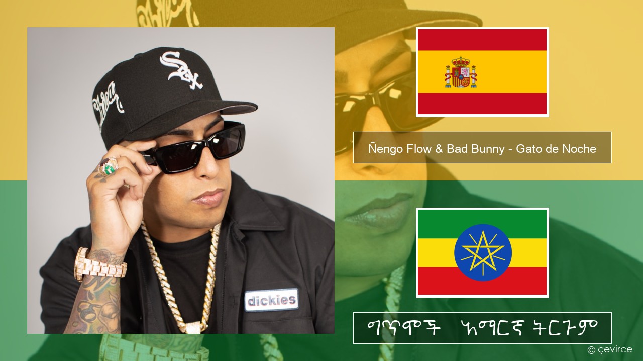 Ñengo Flow & Bad Bunny – Gato de Noche ስፓኒሽ ግጥሞች & አማርኛ ትርጉም