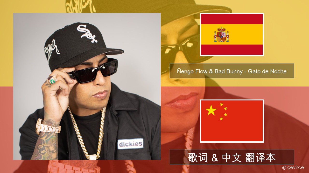 Ñengo Flow & Bad Bunny – Gato de Noche 西班牙语 歌词 & 中文 翻译本