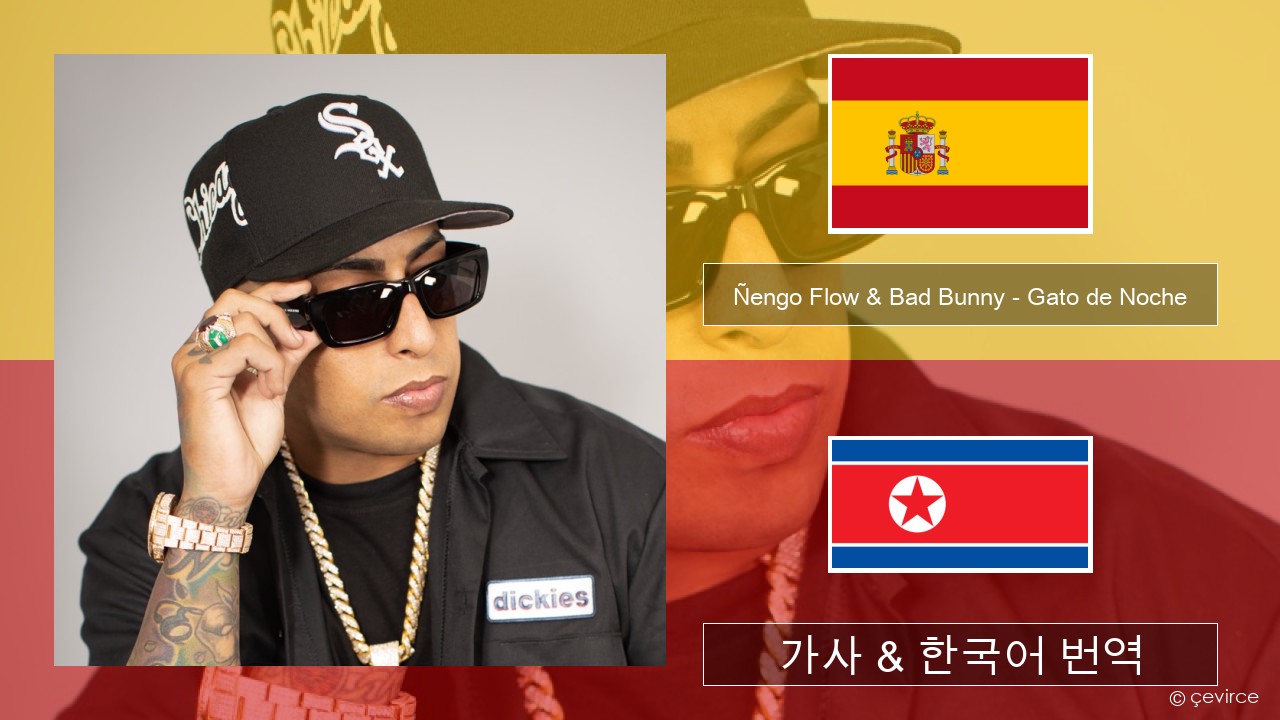 Ñengo Flow & Bad Bunny – Gato de Noche 스페인어 가사 & 한국어 번역