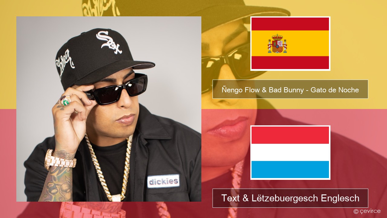 Ñengo Flow & Bad Bunny – Gato de Noche Spuenesch Text & Lëtzebuergesch Englesch