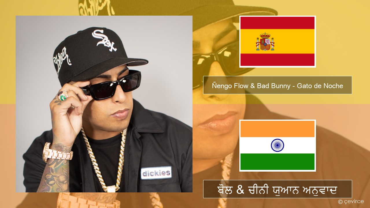 Ñengo Flow & Bad Bunny – Gato de Noche ਸਪੇਨੀ ਬੋਲ & ਚੀਨੀ ਯੁਆਨ ਅਨੁਵਾਦ