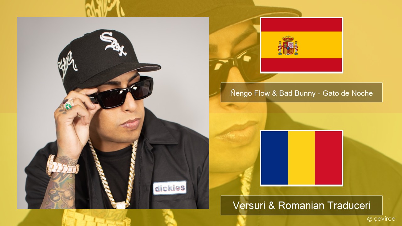 Ñengo Flow & Bad Bunny – Gato de Noche Spaniolă Versuri & Romanian Traduceri