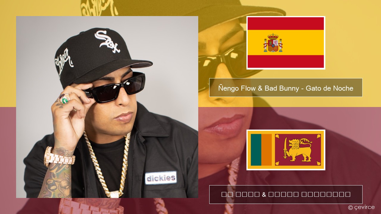 Ñengo Flow & Bad Bunny – Gato de Noche ස්පාඤ්ඤ පද රචනය & සිංහල පරිවර්තන