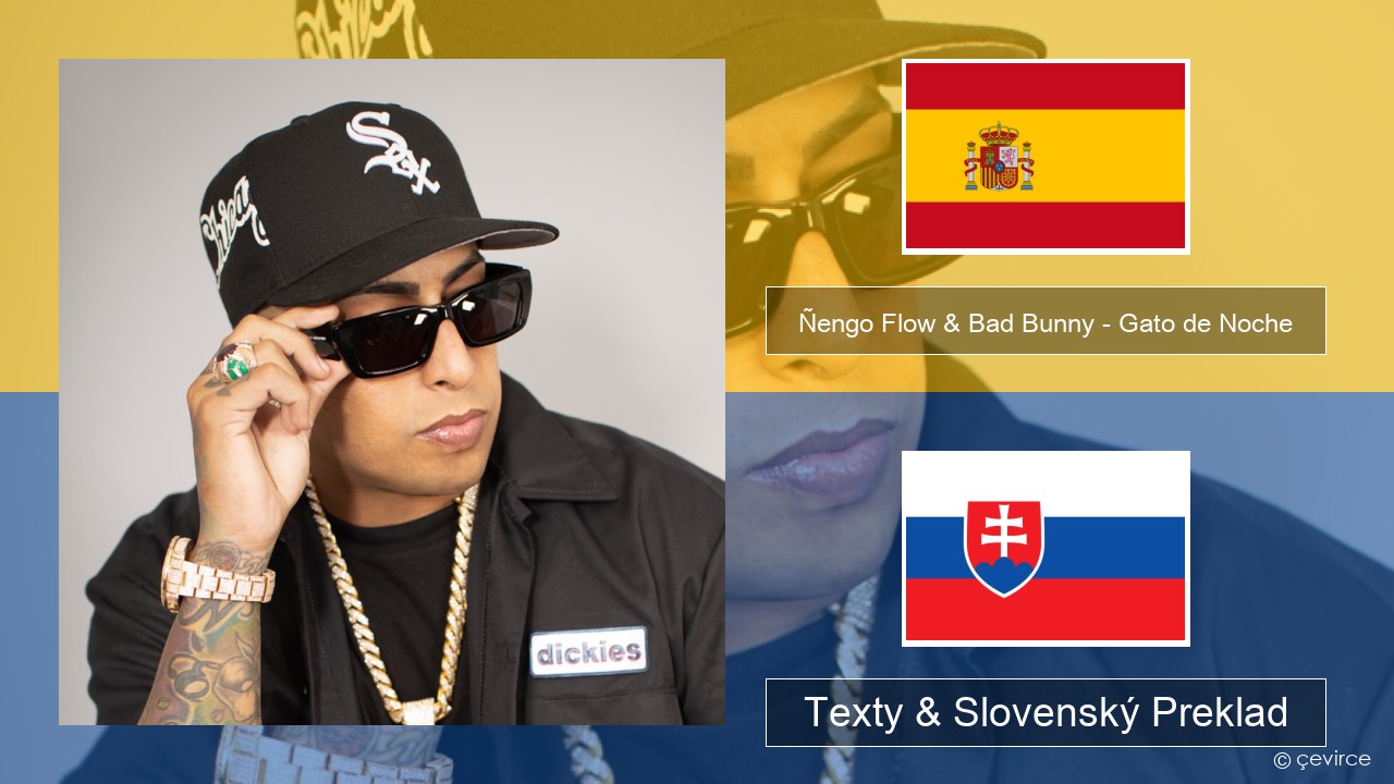 Ñengo Flow & Bad Bunny – Gato de Noche Španielsko Texty & Slovenský Preklad