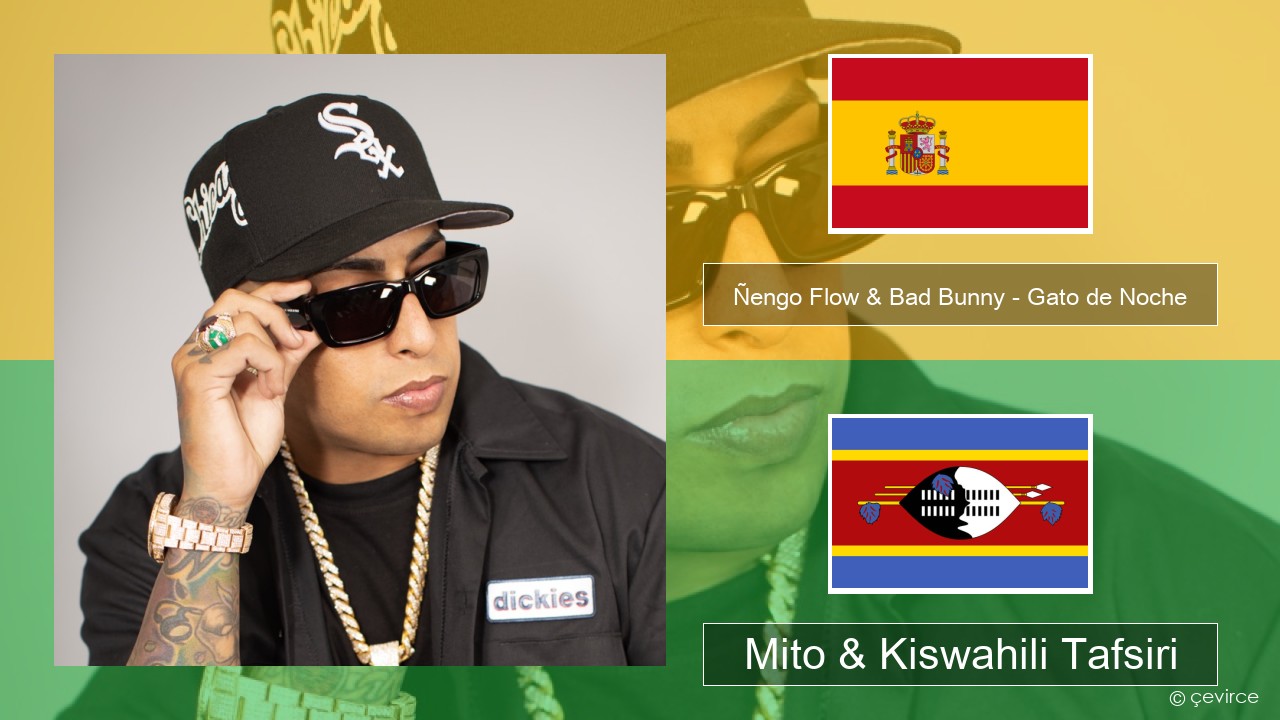 Ñengo Flow & Bad Bunny – Gato de Noche Kihispania Mito & Kiswahili Tafsiri