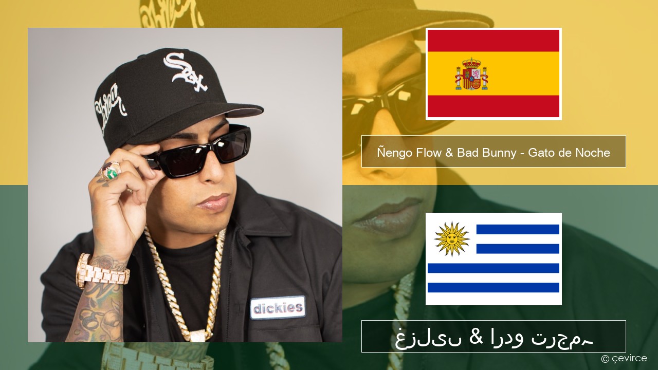 Ñengo Flow & Bad Bunny – Gato de Noche ہسپانوی غزلیں & اردو ترجمہ