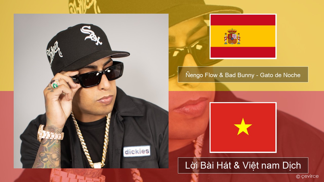 Ñengo Flow & Bad Bunny – Gato de Noche Tiếng tây ban nha Lời Bài Hát & Việt nam Dịch