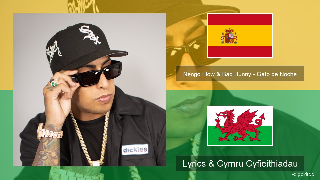 Ñengo Flow & Bad Bunny – Gato de Noche Sbaeneg Lyrics & Cymru Cyfieithiadau