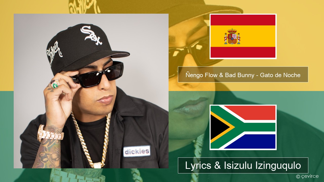 Ñengo Flow & Bad Bunny – Gato de Noche Ispanishi Lyrics & Isizulu Izinguqulo