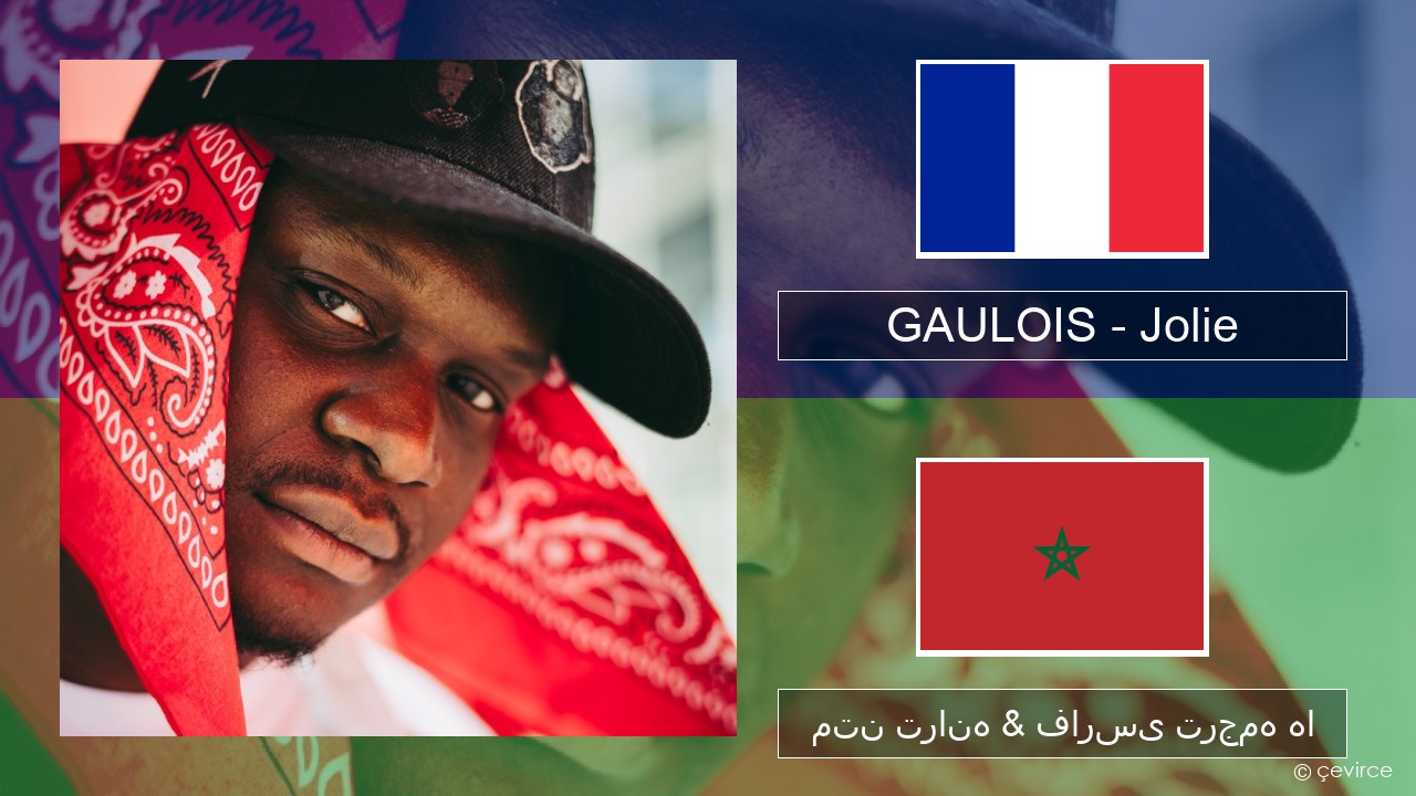 GAULOIS – Jolie (feat. Ninho) فرانسوی متن ترانه & فارسی ترجمه ها