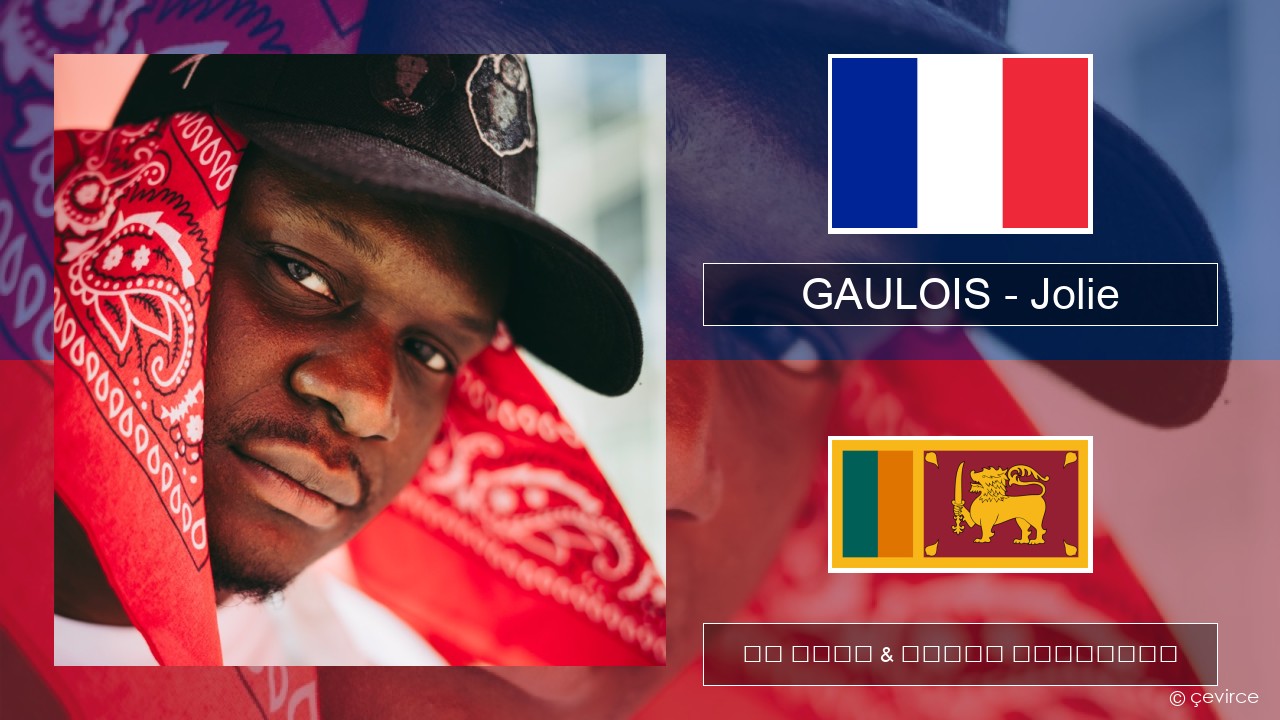 GAULOIS – Jolie (feat. Ninho) ප්රංශ පද රචනය & සිංහල පරිවර්තන