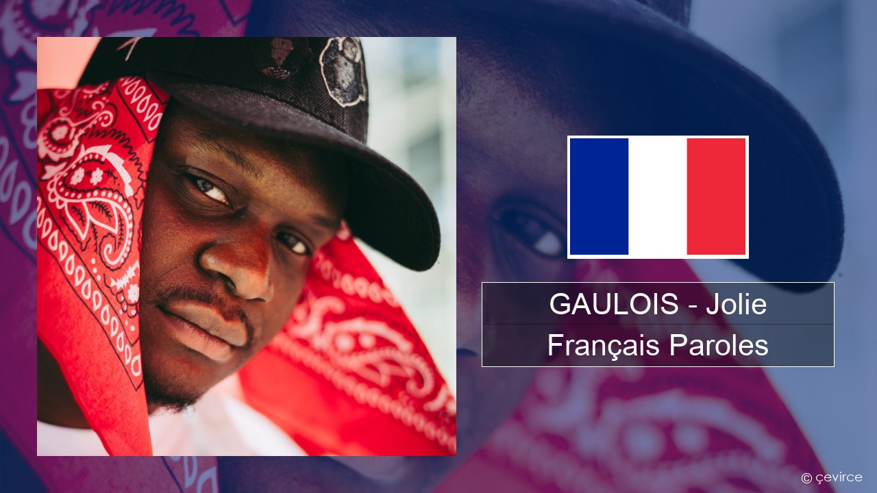 GAULOIS – Jolie (feat. Ninho) Français Paroles