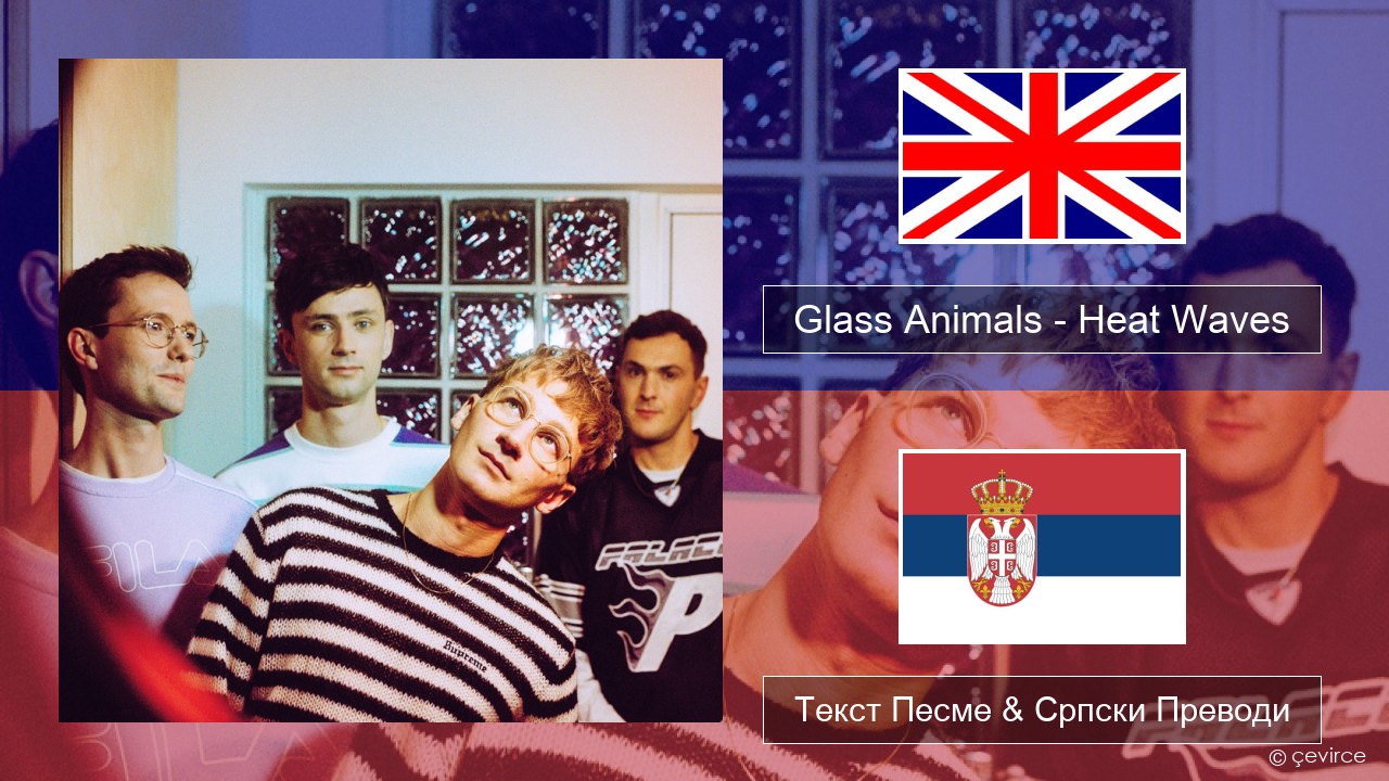 Glass Animals – Heat Waves Енглески Текст Песме & Српски Преводи