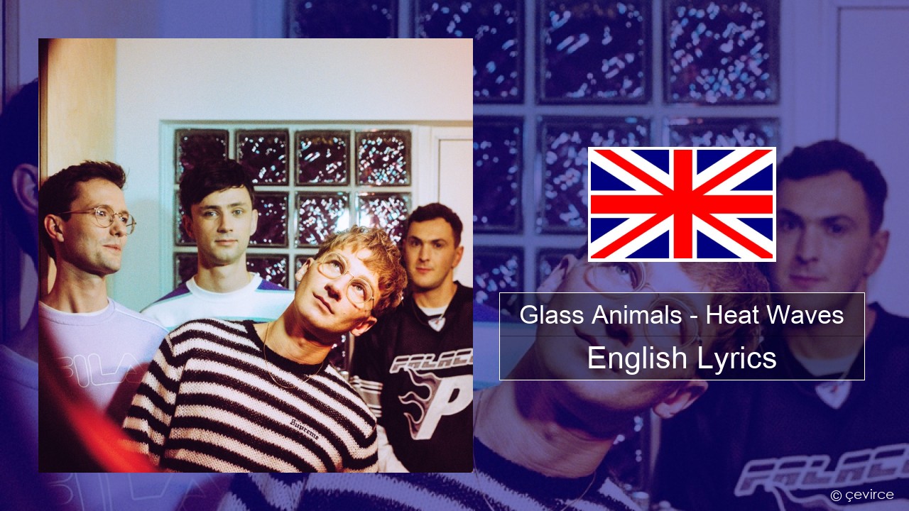 Glass Animals – Heat Waves English Lyrics