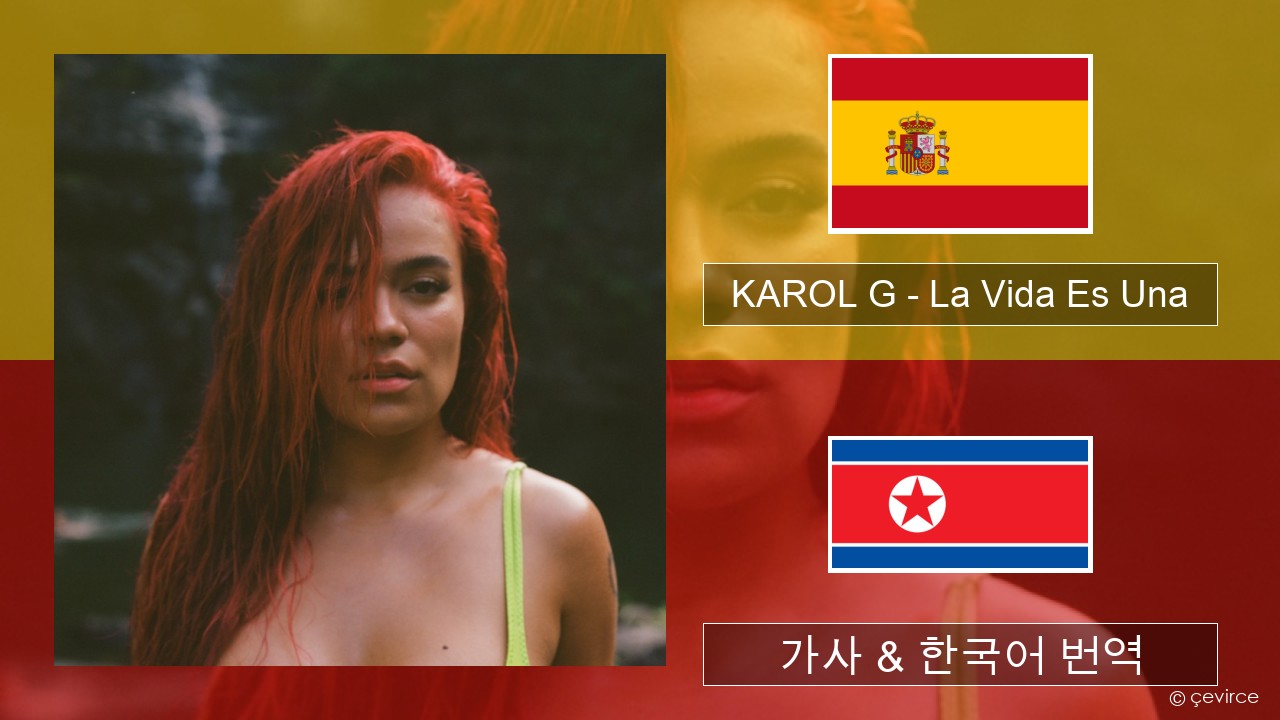 KAROL G – La Vida Es Una (From Puss in Boots: The Last Wish) 스페인어 가사 & 한국어 번역